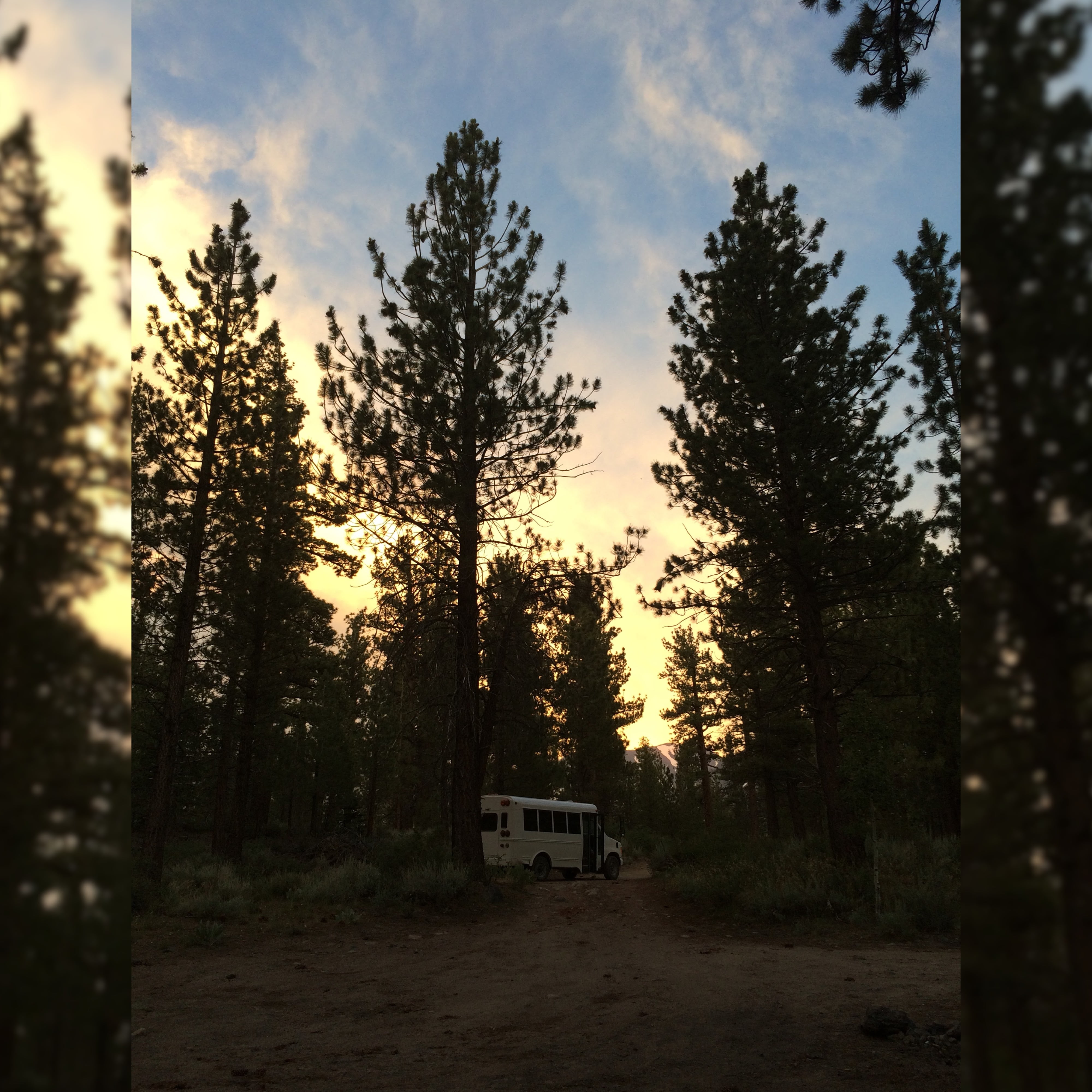 Bus in the forest at sunset